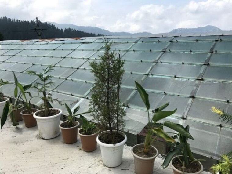 Regional Horticultural Research_Training Station-4